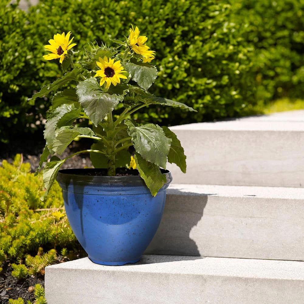 Southern Patio Heritage Large 18 in. x 14.4 in. Monaco Blue High-Density Resin Planter 4 Southern Patio Heritage Large 18 in. x 14.4 in. Monaco Blue High-Density Resin Planter - Image 2