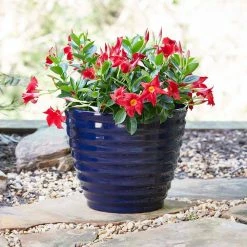 Southern Patio Beehive 14 in. x 11.5 in. Navy Resin Planter with Saucer -Achla Designs Shop navy southern patio plant pots hdr 064756 66 1000