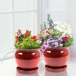 Southern Patio Wisteria 7.87 in. x 7.09 in. Oxblood Ceramic Indoor Planter Pot (2-Pack) -Achla Designs Shop oxblood southern patio plant pots crm 031055p2 1d 1000