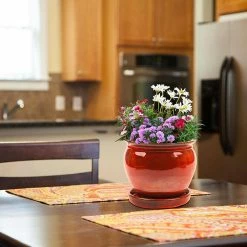 Southern Patio Wisteria 7.87 in. x 7.09 in. Oxblood Ceramic Indoor Planter Pot (2-Pack) -Achla Designs Shop oxblood southern patio plant pots crm 031055p2 1f 1000