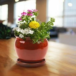 Southern Patio Wisteria 7.87 in. x 7.09 in. Oxblood Ceramic Indoor Planter Pot (2-Pack) -Achla Designs Shop oxblood southern patio plant pots crm 031055p2 a0 1000