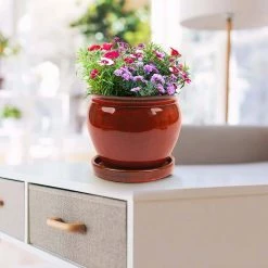 Southern Patio Wisteria 7.87 in. x 7.09 in. Oxblood Ceramic Indoor Planter Pot (2-Pack) -Achla Designs Shop oxblood southern patio plant pots crm 031055p2 fa 1000