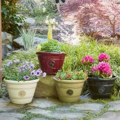 Southern Patio Modesto Large 15.25 in. x 10.5 in. Oxblood Resin Composite Planter 18 Southern Patio Modesto Large 15.25 in. x 10.5 in. Oxblood Resin Composite Planter -Achla Designs Shop oxblood southern patio plant pots hdp 012498 1f 1000