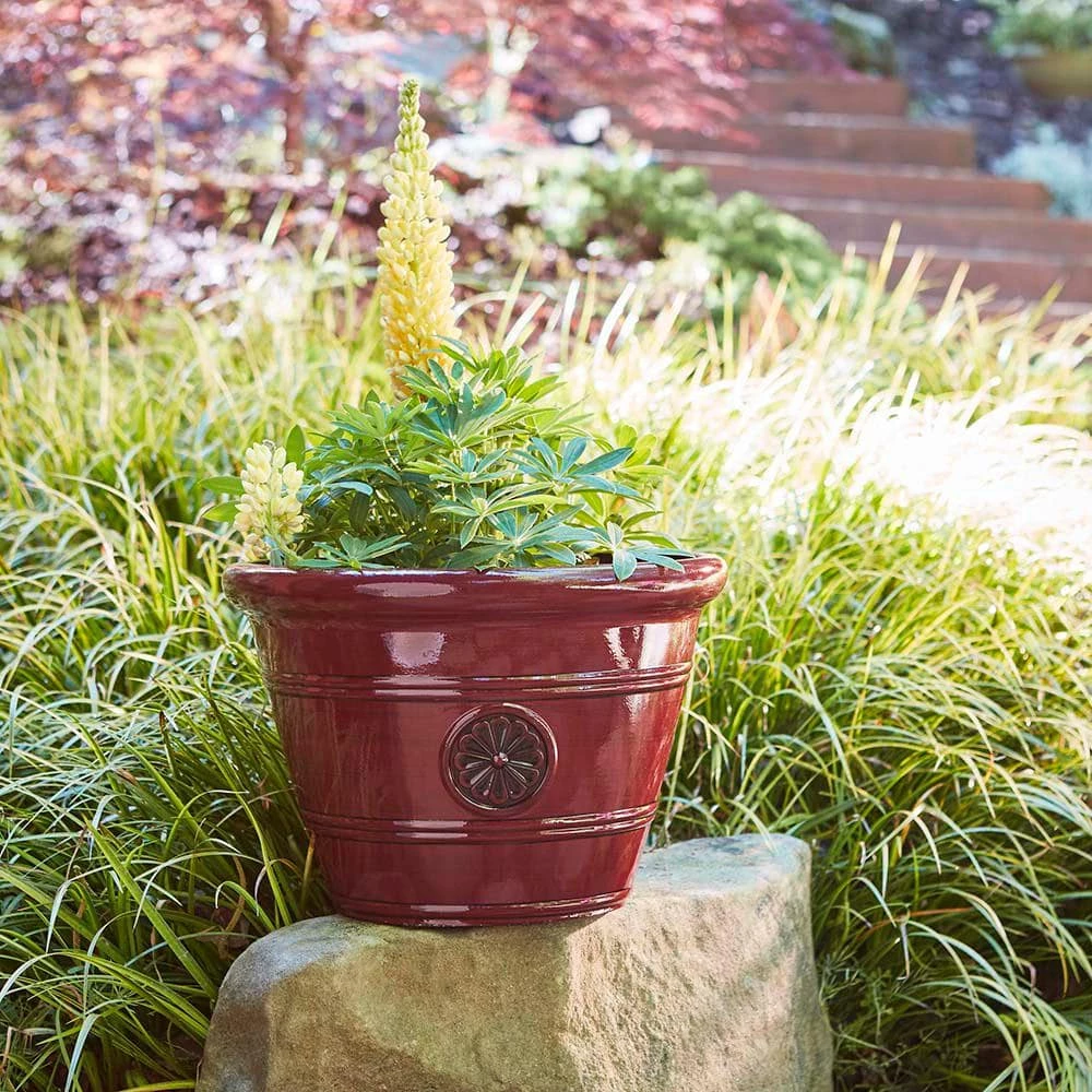 Southern Patio Modesto Large 15.25 in. x 10.5 in. Oxblood Resin Composite Planter 8 Southern Patio Modesto Large 15.25 in. x 10.5 in. Oxblood Resin Composite Planter - Image 6