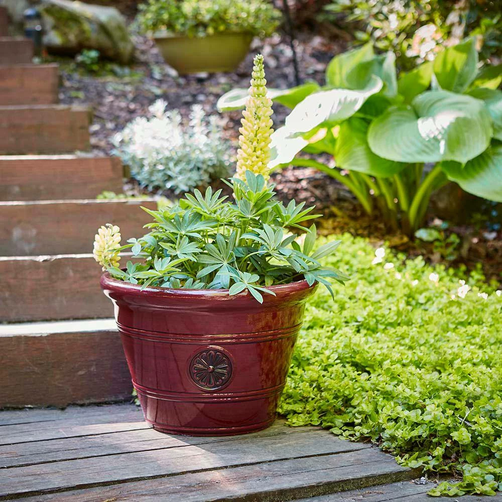 Southern Patio Modesto Large 15.25 in. x 10.5 in. Oxblood Resin Composite Planter 4 Southern Patio Modesto Large 15.25 in. x 10.5 in. Oxblood Resin Composite Planter - Image 2