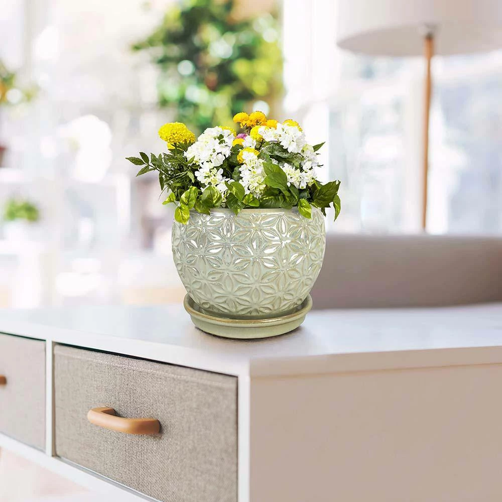 Southern Patio Elora 8 in. Dia Pearl Ceramic Indoor Pot (2-Pack) 12 Southern Patio Elora 8 in. Dia Pearl Ceramic Indoor Pot (2-Pack) - Image 10