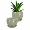 Southern Patio Elora 8 in. Dia Pearl Ceramic Indoor Pot (2-Pack) -Achla Designs Shop pearl southern patio plant pots crm 047100p2 64 1000