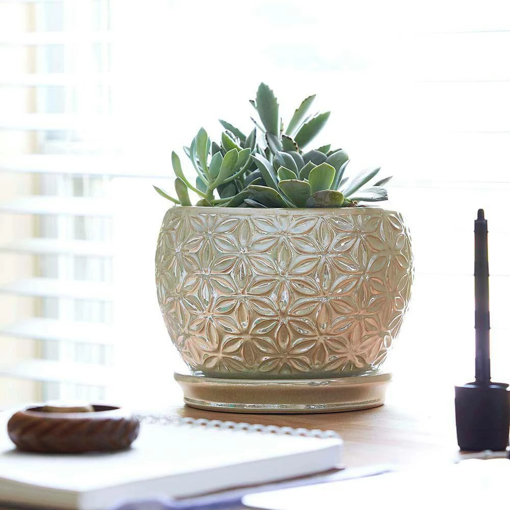 Southern Patio Elora 8 in. Dia Pearl Ceramic Indoor Pot (2-Pack) 8 Southern Patio Elora 8 in. Dia Pearl Ceramic Indoor Pot (2-Pack) - Image 6