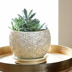 Southern Patio Elora 8 in. Dia Pearl Ceramic Indoor Pot (2-Pack) 20 Southern Patio Elora 8 in. Dia Pearl Ceramic Indoor Pot (2-Pack) -Achla Designs Shop pearl southern patio plant pots crm 047100p2 a0 1000