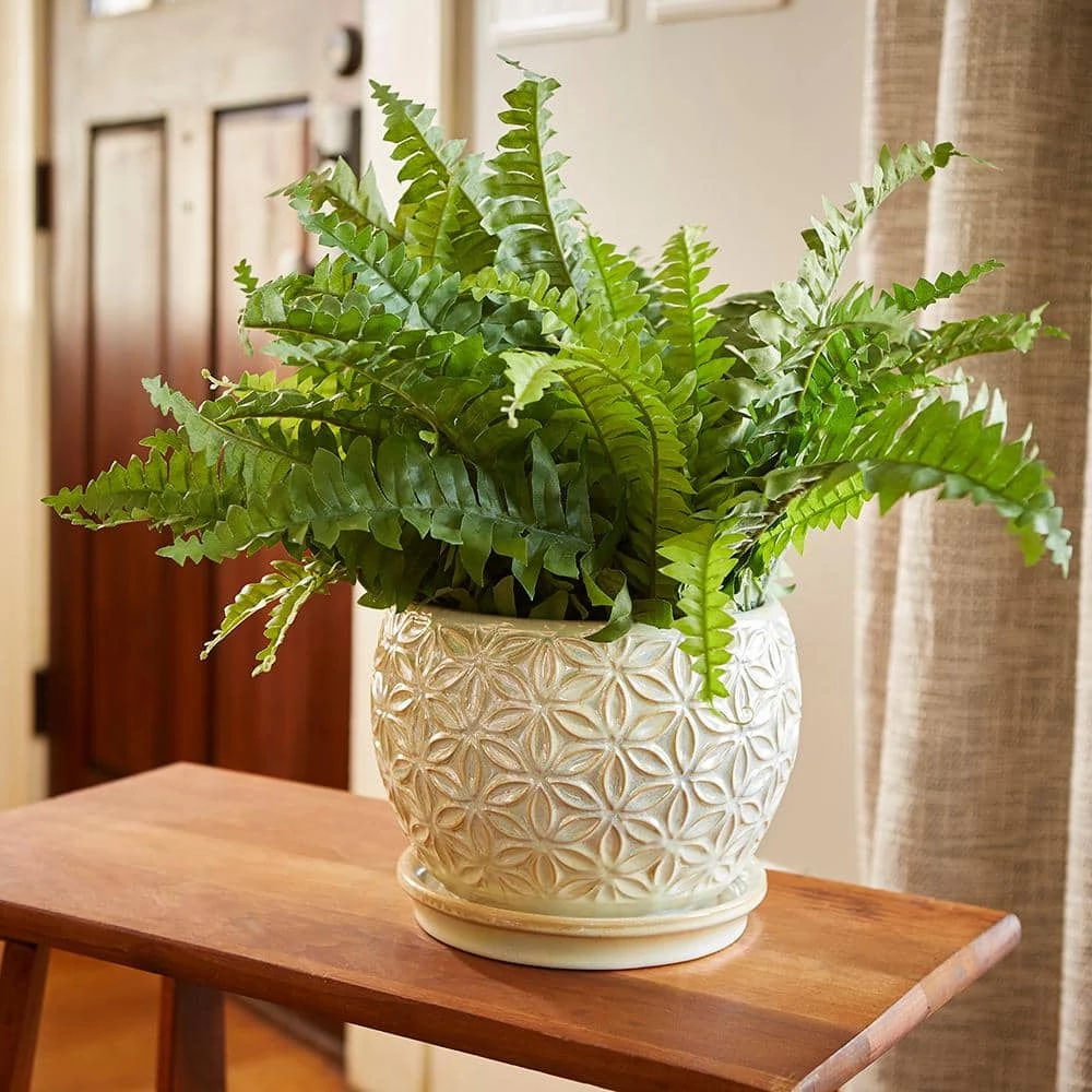 Southern Patio Elora 8 in. Dia Pearl Ceramic Indoor Pot (2-Pack) 4 Southern Patio Elora 8 in. Dia Pearl Ceramic Indoor Pot (2-Pack) - Image 2