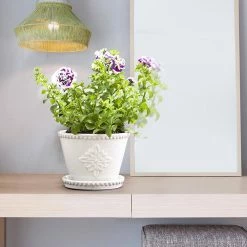 Southern Patio Lorna 8 in. x 6 in. Pearl White Ceramic Pot (2-Pack) -Achla Designs Shop pearl white southern patio plant pots crm 030928p2 44 1000