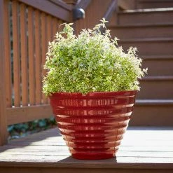 Southern Patio Beehive Large 16 in. x 12.3 in. Red High Density Resin Planter with Saucer 16 Southern Patio Beehive Large 16 in. x 12.3 in. Red High Density Resin Planter with Saucer -Achla Designs Shop red southern patio plant pots hdr 064763 77 1000