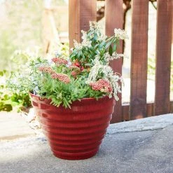 Southern Patio Beehive Large 16 in. x 12.3 in. Red High Density Resin Planter with Saucer 15 Southern Patio Beehive Large 16 in. x 12.3 in. Red High Density Resin Planter with Saucer -Achla Designs Shop red southern patio plant pots hdr 064763 a0 1000