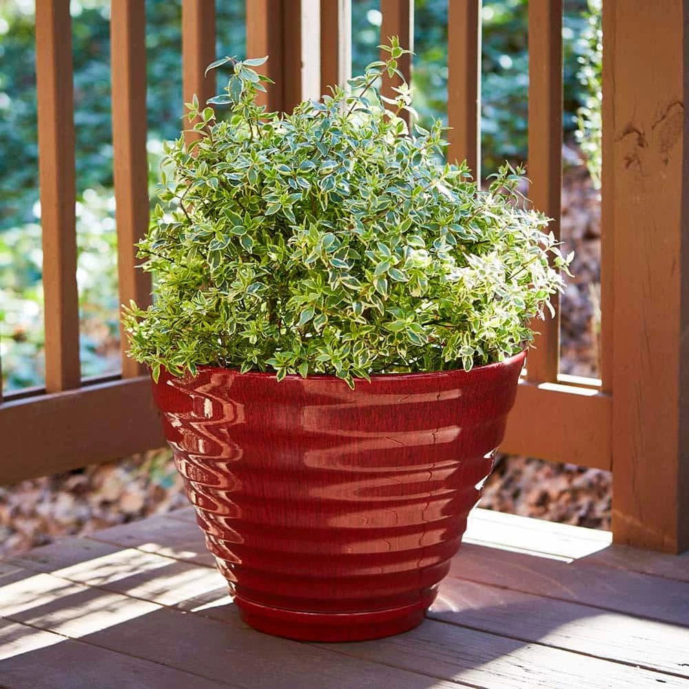Southern Patio Beehive Large 16 in. x 12.3 in. Red High Density Resin Planter with Saucer 4 Southern Patio Beehive Large 16 in. x 12.3 in. Red High Density Resin Planter with Saucer - Image 2