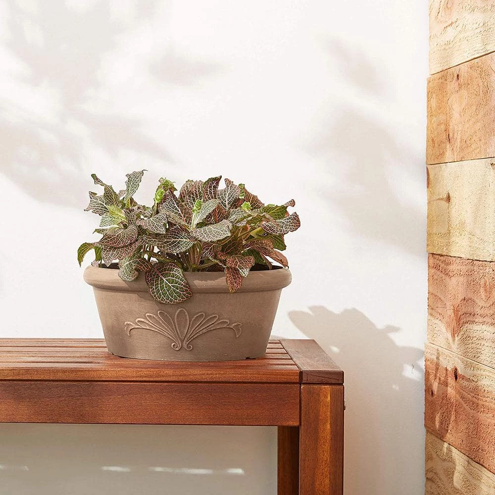 Arcadia Garden Products 10 in. x 3-1/2 in. Taupe PSW Bulb Pan Pot 4 Arcadia Garden Products 10 in. x 3-1/2 in. Taupe PSW Bulb Pan Pot - Image 2