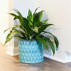 Southern Patio Ariel 9.5 in. x 8.66 in. Blue Ceramic Pot 17 Southern Patio Ariel 9.5 in. x 8.66 in. Blue Ceramic Pot -Achla Designs Shop teal southern patio plant pots crm 081661 1d 1000