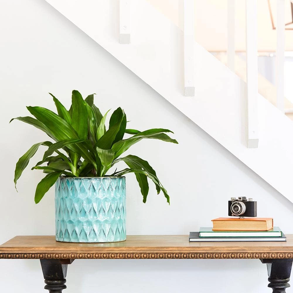 Southern Patio Ariel 9.5 in. x 8.66 in. Blue Ceramic Pot 9 Southern Patio Ariel 9.5 in. x 8.66 in. Blue Ceramic Pot - Image 7