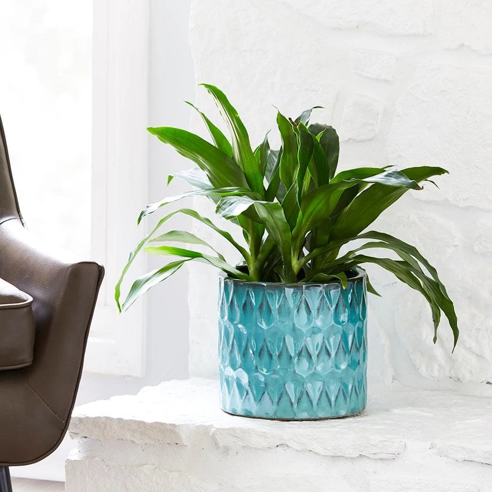 Southern Patio Ariel 9.5 in. x 8.66 in. Blue Ceramic Pot 4 Southern Patio Ariel 9.5 in. x 8.66 in. Blue Ceramic Pot - Image 2