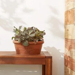 Arcadia Garden Products 8 in. x 3 in. Terra Cotta PSW Bulb Pan Pot -Achla Designs Shop terra cotta arcadia garden products plant pots ta20tc e1 1000