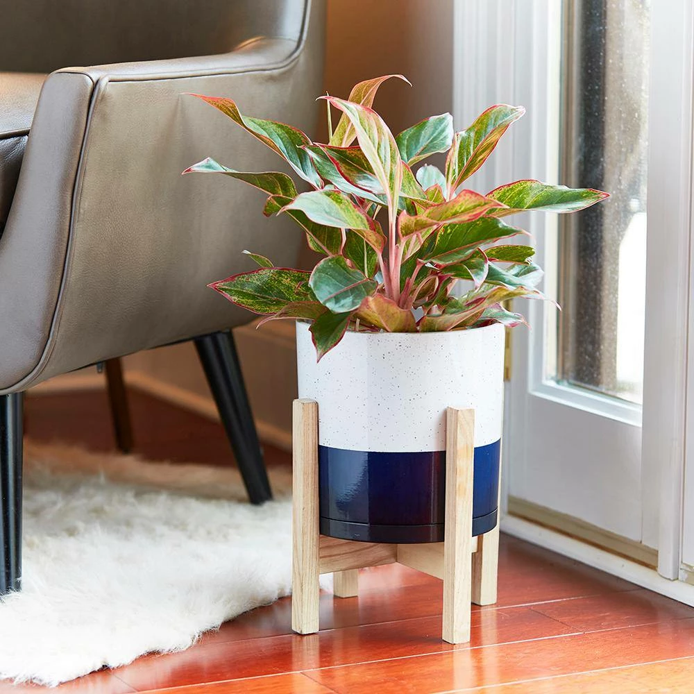 Southern Patio Henrietta 7.8 in. x 7.8 in. White and Blue High-Density Resin Indoor Planter With Wood Stand 4 Southern Patio Henrietta 7.8 in. x 7.8 in. White and Blue High-Density Resin Indoor Planter With Wood Stand - Image 2