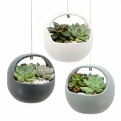 Arcadia Garden Products Basket 4-1/2 in. x 4-1/2 in. Matte White Ceramic Hanging Planter -Achla Designs Shop white matte arcadia garden products hanging planters ap02w fa 1000