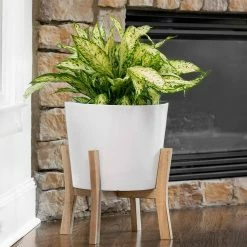 Southern Patio Contemporary Large 16 in. x 19.87 in. White Resin Composite Indoor Planter with Wood Stand -Achla Designs Shop white southern patio plant pots cmx 049371a 4f 1000