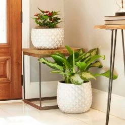 Southern Patio Pineapple 12 in. x 10.5 Weathered White Resin Composite Planter -Achla Designs Shop white southern patio plant pots cmx 069737 a0 1000