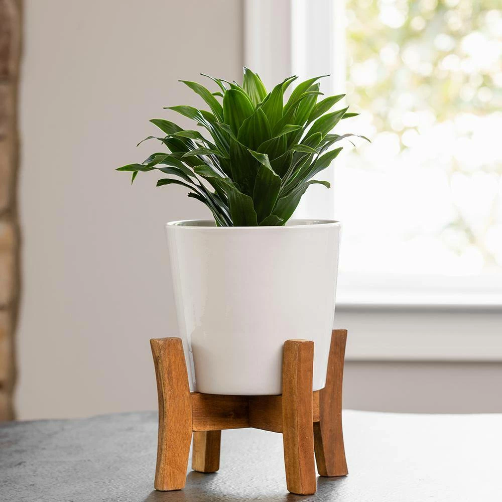 Southern Patio Contemporary 8 in. x 11.02 in. White Ceramic Indoor Planter With Wood Stand 7 Southern Patio Contemporary 8 in. x 11.02 in. White Ceramic Indoor Planter With Wood Stand - Image 5