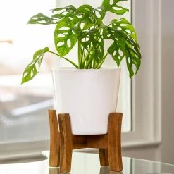 Southern Patio Contemporary 8 in. x 11.02 in. White Ceramic Indoor Planter With Wood Stand 20 Southern Patio Contemporary 8 in. x 11.02 in. White Ceramic Indoor Planter With Wood Stand -Achla Designs Shop white southern patio plant pots crm 049388 77 1000