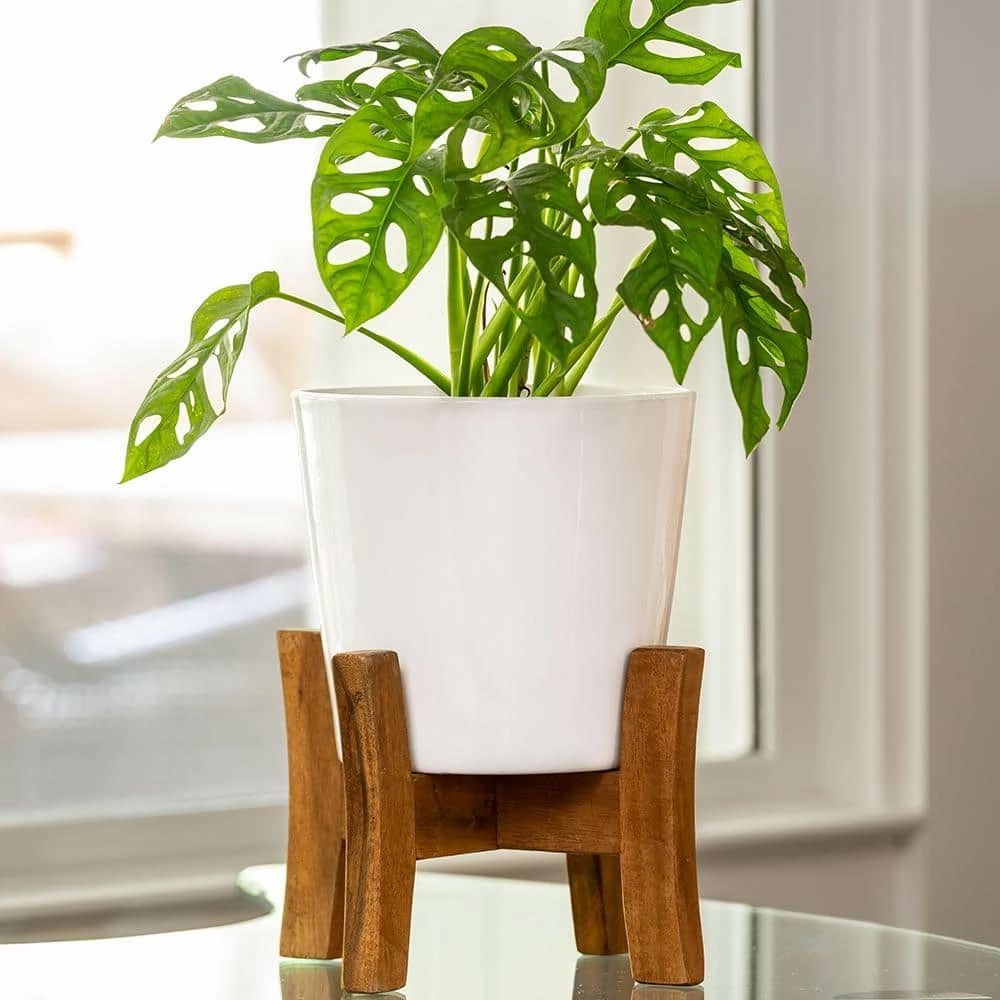 Southern Patio Contemporary 8 in. x 11.02 in. White Ceramic Indoor Planter With Wood Stand 9 Southern Patio Contemporary 8 in. x 11.02 in. White Ceramic Indoor Planter With Wood Stand - Image 7