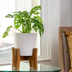 Southern Patio Contemporary 8 in. x 11.02 in. White Ceramic Indoor Planter With Wood Stand 21 Southern Patio Contemporary 8 in. x 11.02 in. White Ceramic Indoor Planter With Wood Stand -Achla Designs Shop white southern patio plant pots crm 049388 c3 1000