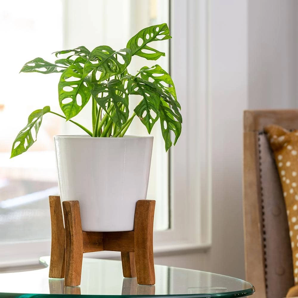 Southern Patio Contemporary 8 in. x 11.02 in. White Ceramic Indoor Planter With Wood Stand 10 Southern Patio Contemporary 8 in. x 11.02 in. White Ceramic Indoor Planter With Wood Stand - Image 8