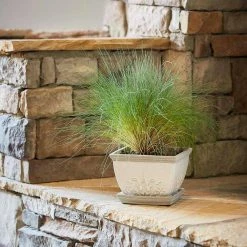 Southern Patio Brentwood 8.5 in. x 6.1 in. White Ceramic Indoor Pot (2-Pack) -Achla Designs Shop white southern patio plant pots crm 064886a 77 1000