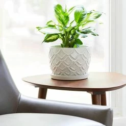 Southern Patio Wanda 8.3 in. x 6 in. White Ceramic Indoor Pot -Achla Designs Shop white southern patio plant pots crm 081555 4f 1000