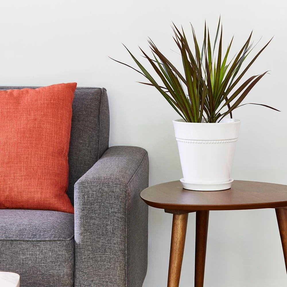 Southern Patio Beaded 8 in. x 8 in. White Ceramic Indoor Pot 12 Southern Patio Beaded 8 in. x 8 in. White Ceramic Indoor Pot - Image 10