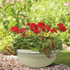 Southern Patio Sydney Large 15.75 in. x 6.21 in. White High-Density Resin Bowl Planter 16 Southern Patio Sydney Large 15.75 in. x 6.21 in. White High-Density Resin Bowl Planter -Achla Designs Shop white southern patio plant pots hdp 021162a a0 1000