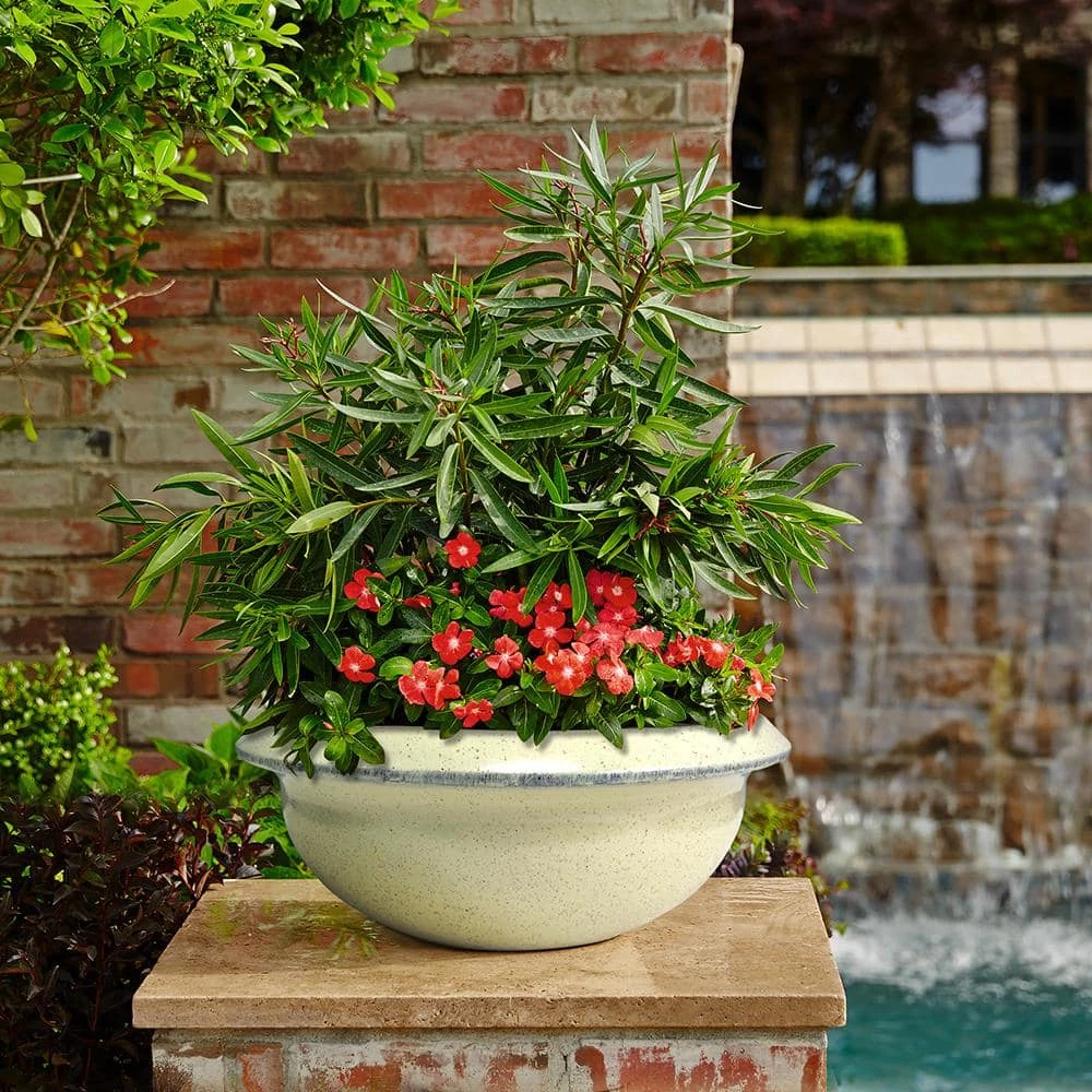 Southern Patio Sydney Large 15.75 in. x 6.21 in. White High-Density Resin Bowl Planter 4 Southern Patio Sydney Large 15.75 in. x 6.21 in. White High-Density Resin Bowl Planter - Image 2