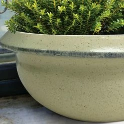 Southern Patio Sydney Large 15.75 in. x 6.21 in. White High-Density Resin Bowl Planter 20 Southern Patio Sydney Large 15.75 in. x 6.21 in. White High-Density Resin Bowl Planter -Achla Designs Shop white southern patio plant pots hdp 021162a fa 1000