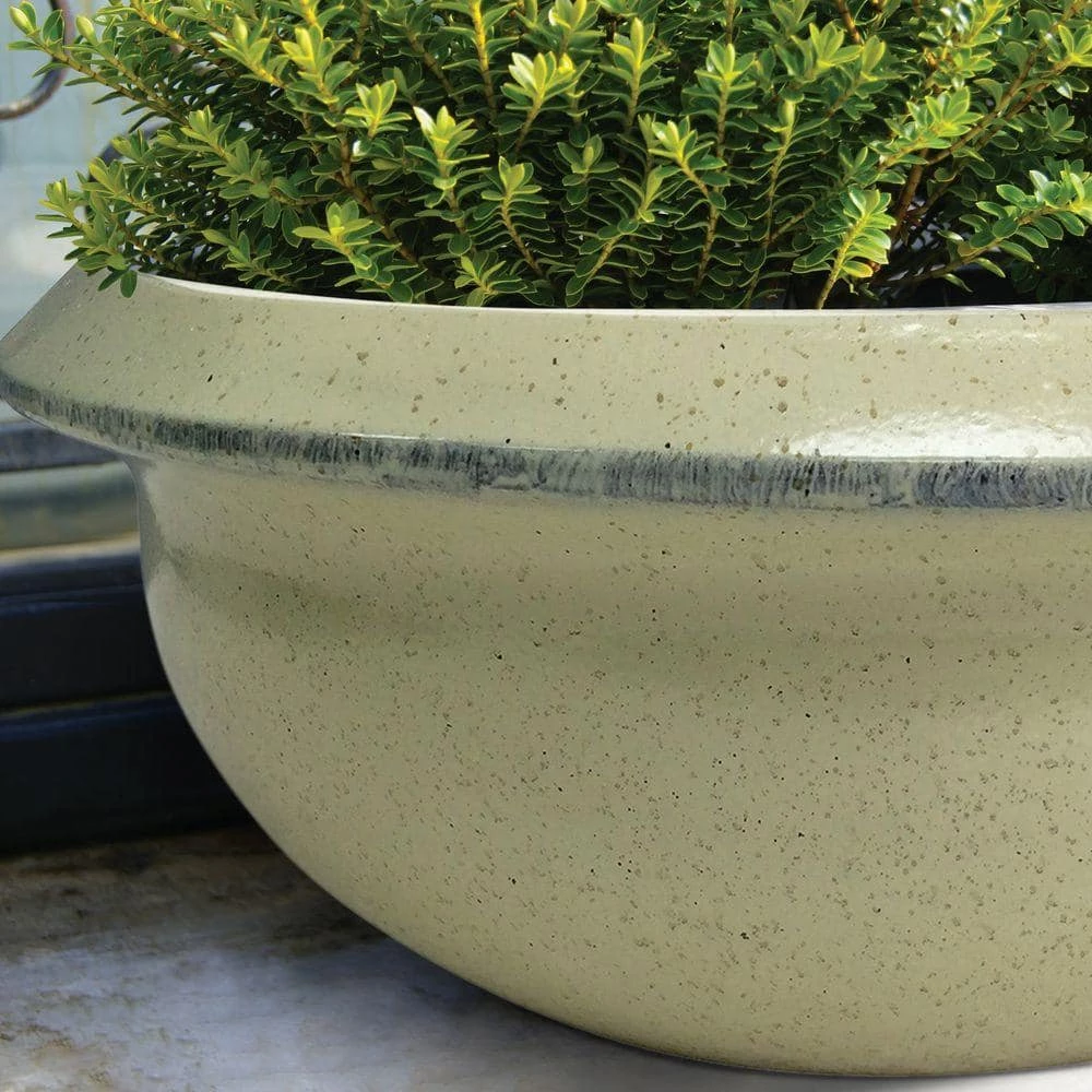 Southern Patio Sydney Large 15.75 in. x 6.21 in. White High-Density Resin Bowl Planter 10 Southern Patio Sydney Large 15.75 in. x 6.21 in. White High-Density Resin Bowl Planter - Image 8